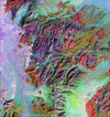 tm1.gif (12314 bytes)